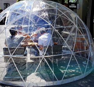 Tienda de cúpula de iglú de casa de jardín geodésica de PVC transparente