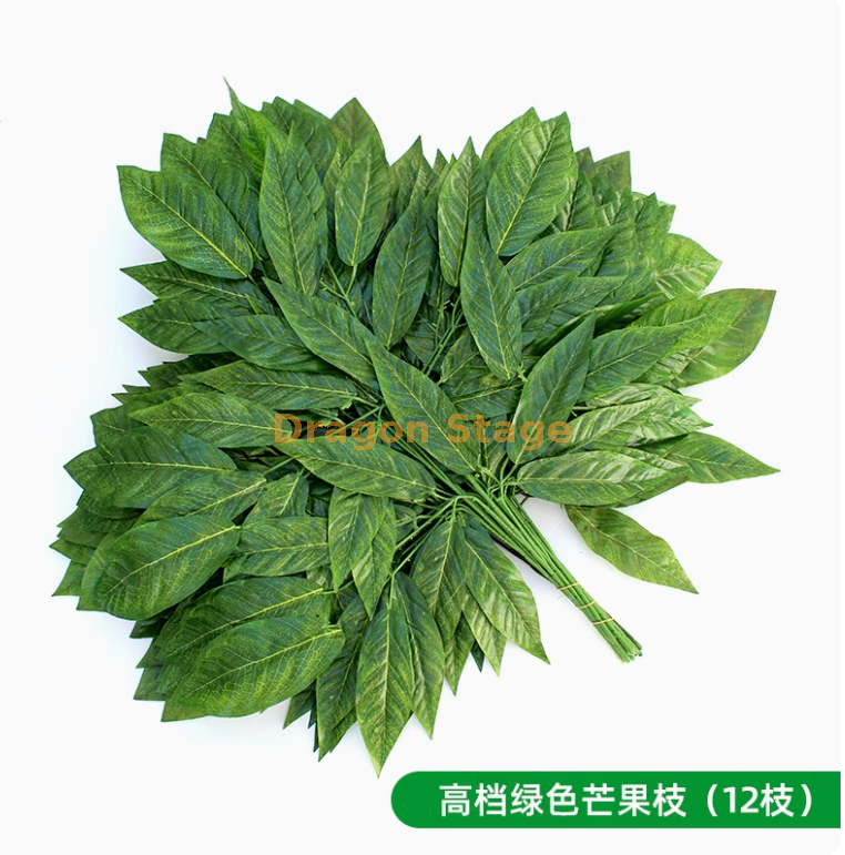 高档绿色芒果枝（ 12 枝）