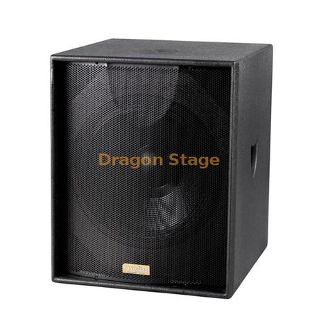 Altavoz subwoofer alimentado al aire libre para clubes nocturnos, espectáculos al aire libre