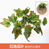 Plantas verdes, paredes de plantas simuladas, céspedes de plástico, balcones, fondos interiores, paredes de flores, hojas de camote rojo naranja, 1 rama