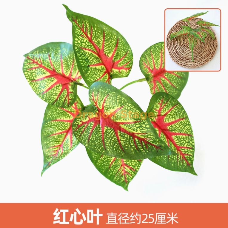 金色 红心叶 1 枝