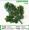 Hojas simuladas de árbol de banyan, hojas de arce rojo, hojas de ginkgo, centro comercial, ramas falsas de interior, plantas de plástico pegadas, postes verdes pegados, hojas de árboles de banyan, 12 ramas