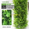 Paquete para decorar y cubrir tuberías de agua, simulando corteza de árbol, plantas verdes y un juego de hierba de bendición encriptado (3 metros), con paquete de instalación incluido