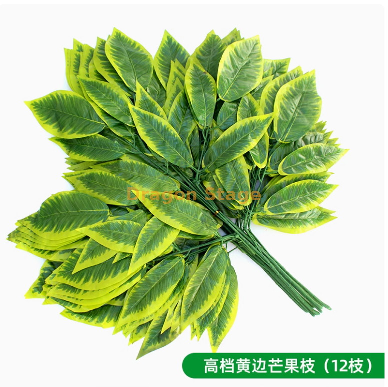 高档黄边芒果枝（ 12 枝）