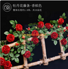 Vina de rosa simulada, enredadera falsa, cerca del conducto de aire acondicionado, vid decorativa, vid roja grande, 1 vid