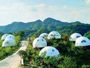 Carpa de cúpula geodésica de diámetro personalizado para feria comercial