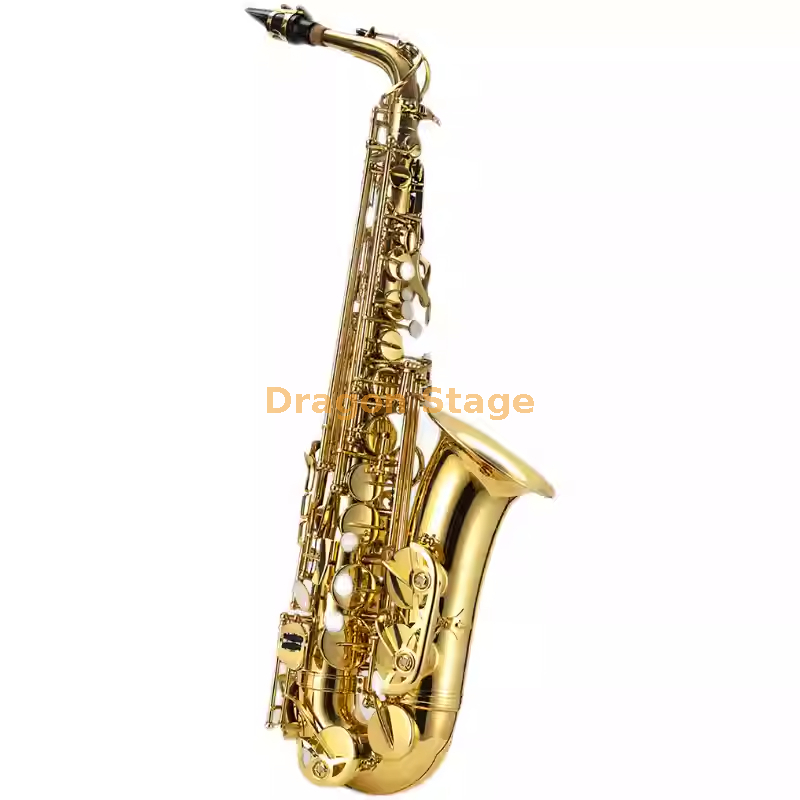 Saxofón alto profesional (6) 