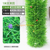 Paquete para decorar y cubrir tuberías de agua, simular corteza de árbol, plantas verdes, flores coloridas y grandes plantas acuáticas (3 metros). Paquete de instalación incluido
