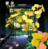 Hojas simuladas de árbol de banyan, hojas de arce rojo, hojas de ginkgo, centro comercial, ramas falsas interiores, amarillo fluorescente, hojas de ginkgo tridimensionales -1 rama