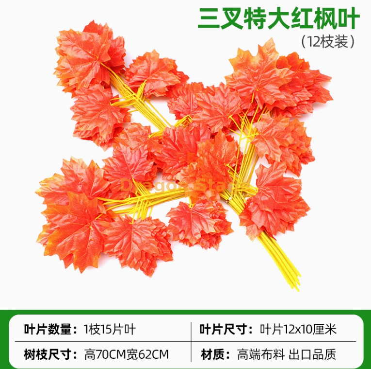 三叉特大红枫叶 12 枝