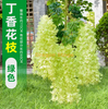 Flores de glicinia simuladas Tofu Pudding Cadena Violetas Falsas Cazón Rattan Decoración de bodas en interiores Verde NUEVA FLORES LILACES - VERDE 6