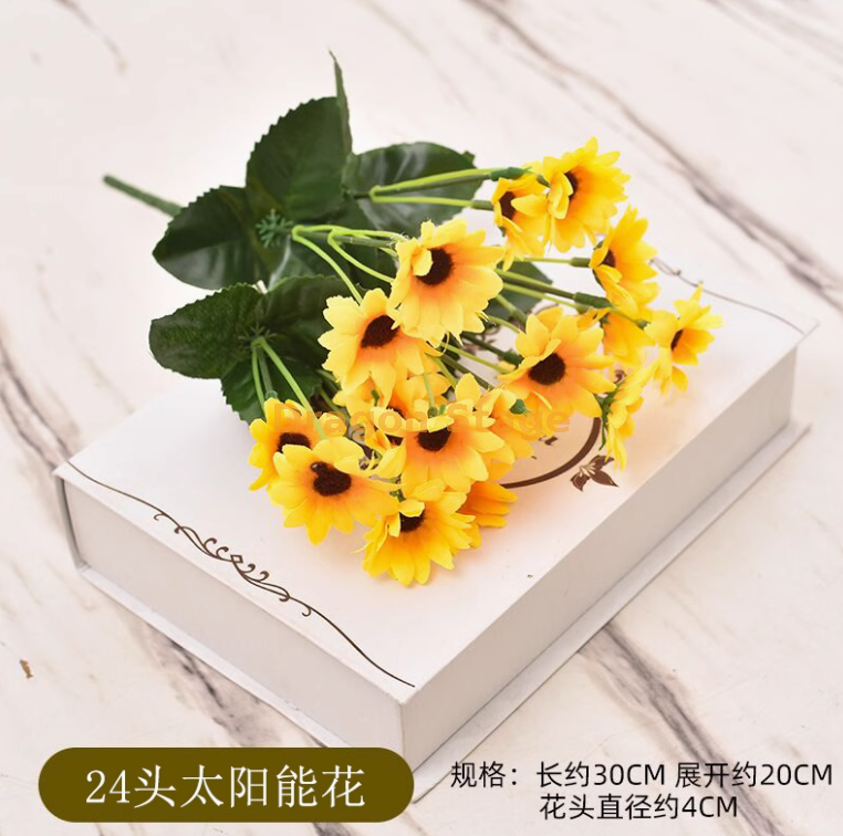 24 头小太阳花