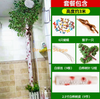 Corteza de bambú simulada, plantas verdes, vides de flores, decoración de tubos de alcantarillado envuelto, juego de corteza de abedul de 2.5 pulgadas (mono incluido)