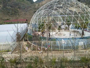 hotel claro burbuja iglú lona transparente geodésico glamping casa PVC cubierta camping cúpula tiendas de campaña