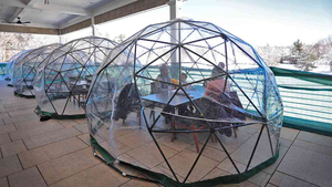 Tienda inflable de la bóveda de los 5m Carpa inflable transparente de la esfera Carpa inflable de la burbuja de cristal