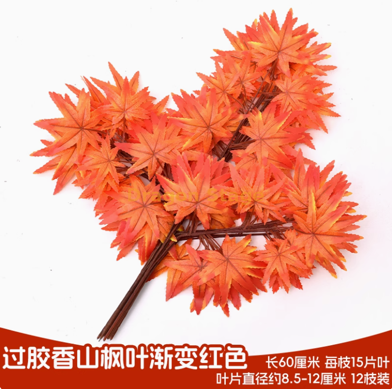过胶香山枫叶渐变红（ 12 枝）