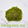 Artificial biomimética simulada Artificial Falso Moss Micro Landscape Disposición Filamentosa Moss Verde oscuro 30 g, aproximadamente 30 x 30 cm de tamaño