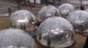 Al aire libre 360 ​​grados Nueva Glamping Igloo Garden Lodge Hoteles Refugio Burbuja inflable transparente Carpa de cúpula publicitaria
