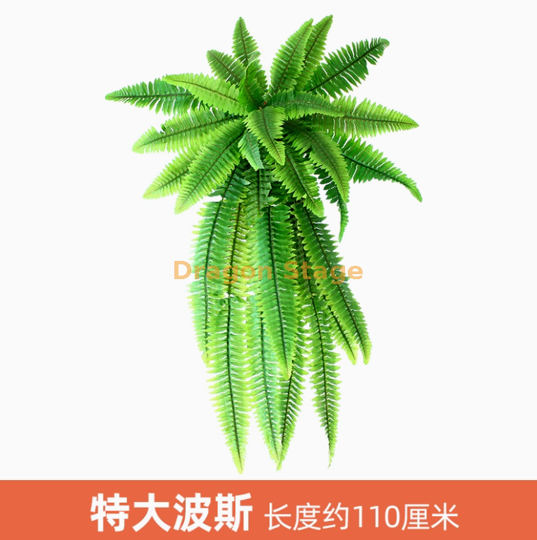 浅棕色 特大波斯 1 枝