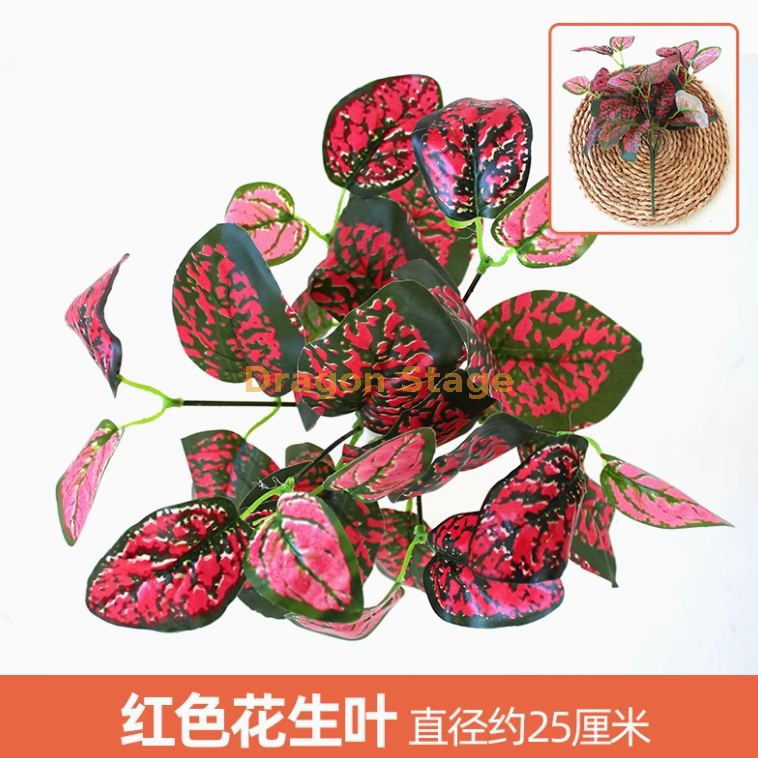 玫红色 红色花生叶 1 枝