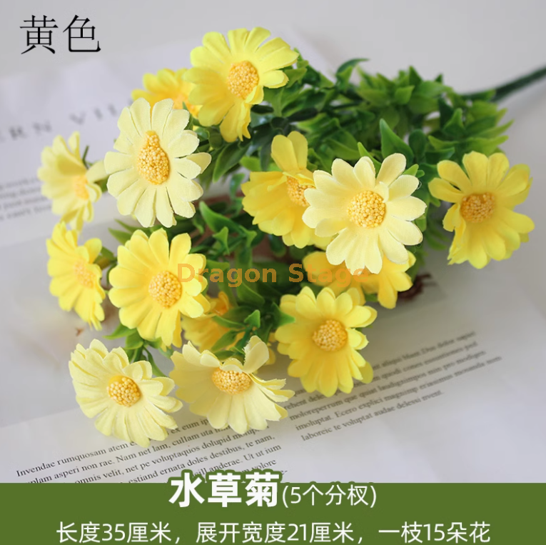 黄色水草菊