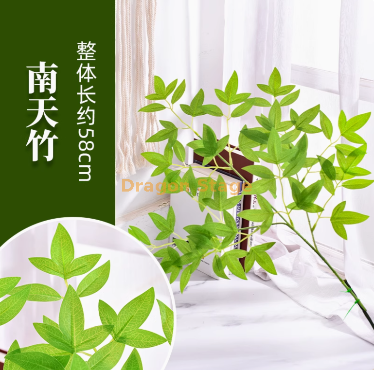 南天竹 -1 枝
