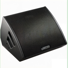 Altavoz monitor de escenario.jpg